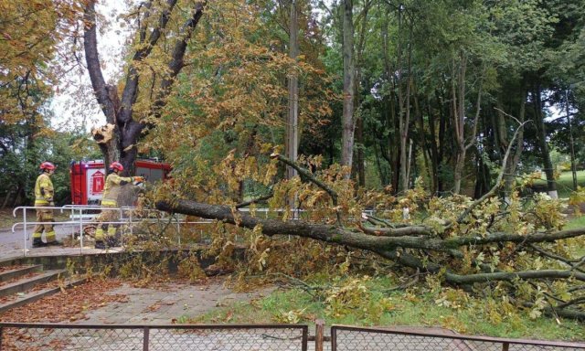 Ponad 100 interwencji po wichurze. Strażacy jeździli od zgłoszenia do zgłoszenia