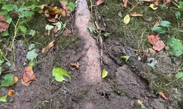 Poszedł na grzyby, znalazł pocisk artyleryjski. Niebezpieczne odkrycie pod Leleszkami