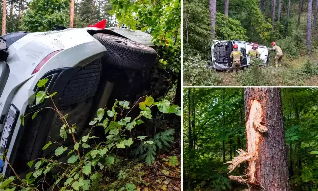 Seat wypadł z DK53 i zatrzymał się na drzewie. 29-latka trafiła do szpitala