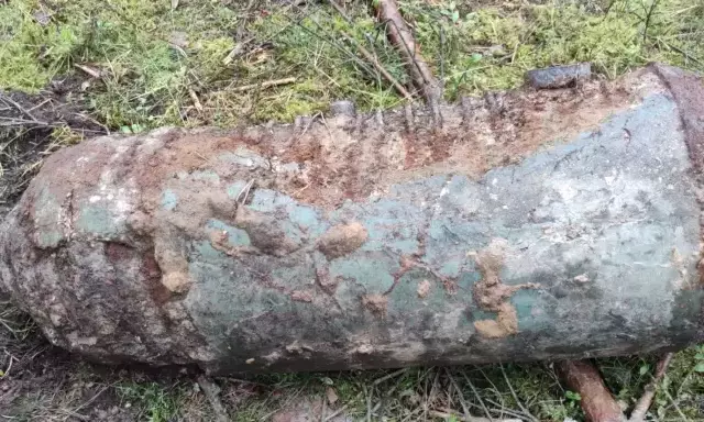 Wojna wróciła z lasu. Pociski w Wielbarku, bomba przy lotnisku w Szymanach