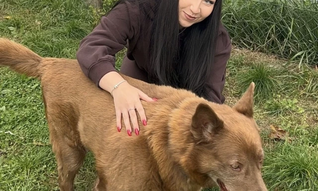 Nie chcą wiele. Chcą człowieka i domu. Schronisko przed zimą potrzebuje wsparcia