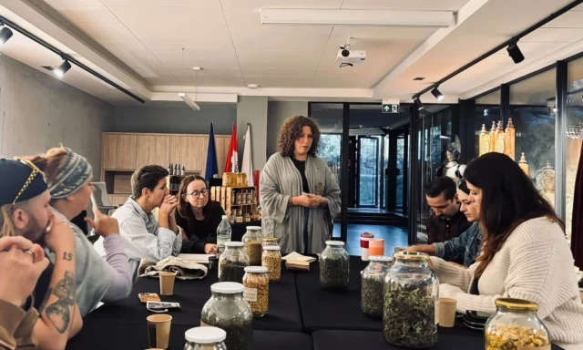 Pszczelarstwo, zioła i biznes we własnym tempie. „Płonka” w zamku w Szczytnie.