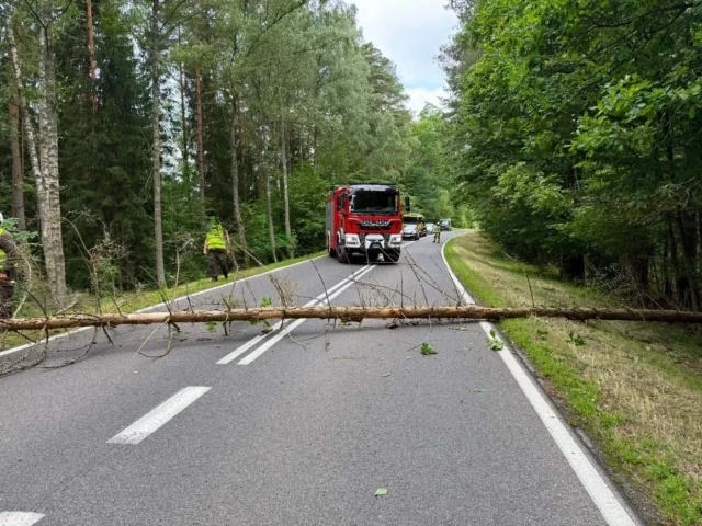 Niebezpiecznie na DK58. Strażacy ruszyli do drzewa powalonego na drogę