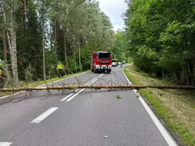 Niebezpiecznie na DK58. Strażacy ruszyli do drzewa powalonego na drogę