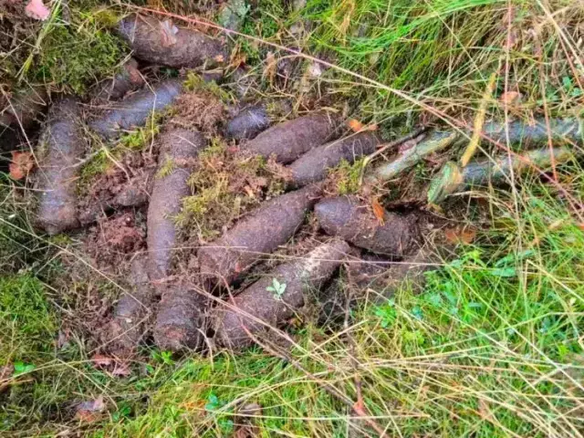 Leśnik znalazł w lesie dziesiątki pocisków. Pod Wielbarkiem wkroczyli saperzy