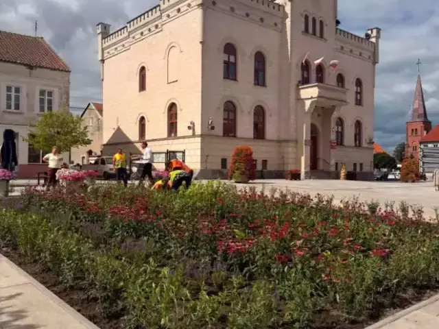 Pasym rozszczelnia betonowy Rynek. Najpierw rośliny, potem drzewa i ławki