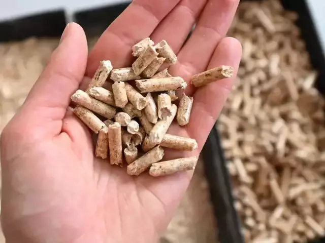 Miał być pellet na zimę. Został przelew i strona, która zniknęła