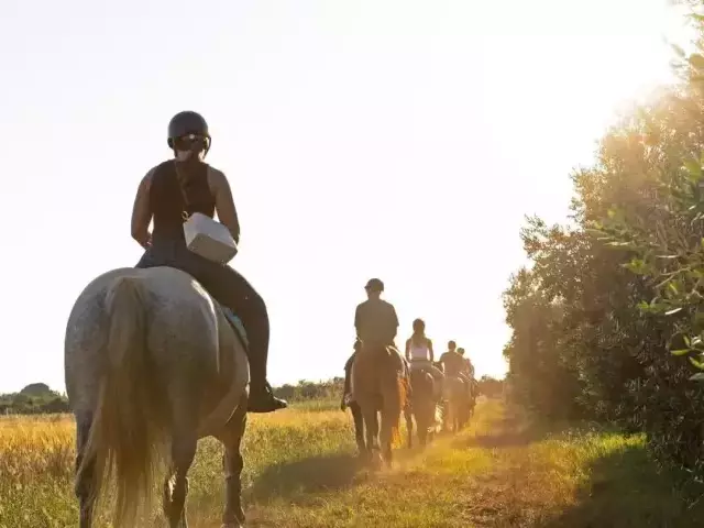 Zgubiły drogę podczas konnej przejażdżki. Cztery dziewczyny utknęły na podmokłym terenie w Sasku Małym