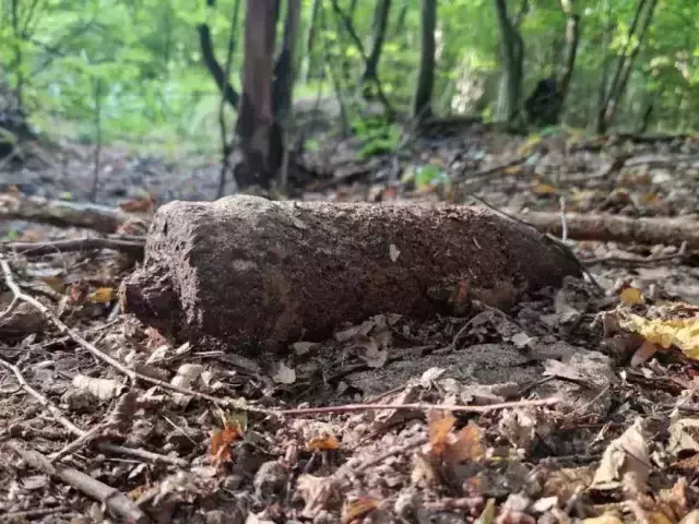 Dwa poranki, dwa niewybuchy w lesie pod Wielbarkiem. Na miejsce wezwano saperów