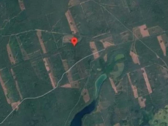 Kto obserwował las? Tajemnicza fotopułapka między Małszewem a Bałdzkim Piecem