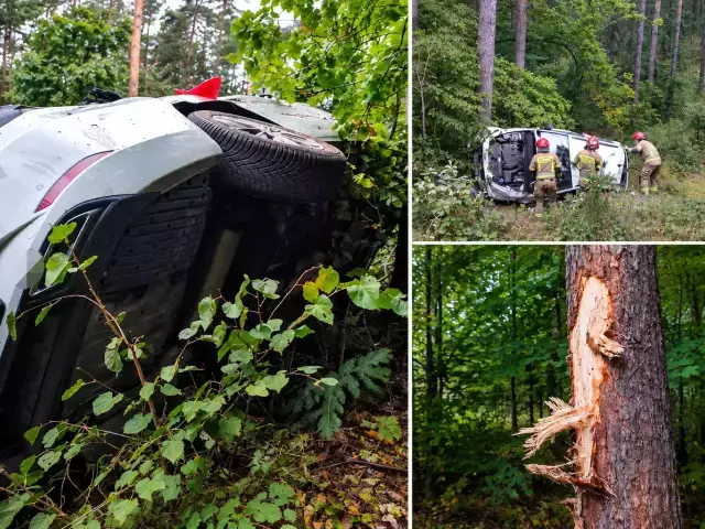 Seat wypadł z DK53 i zatrzymał się na drzewie. 29-latka trafiła do szpitala