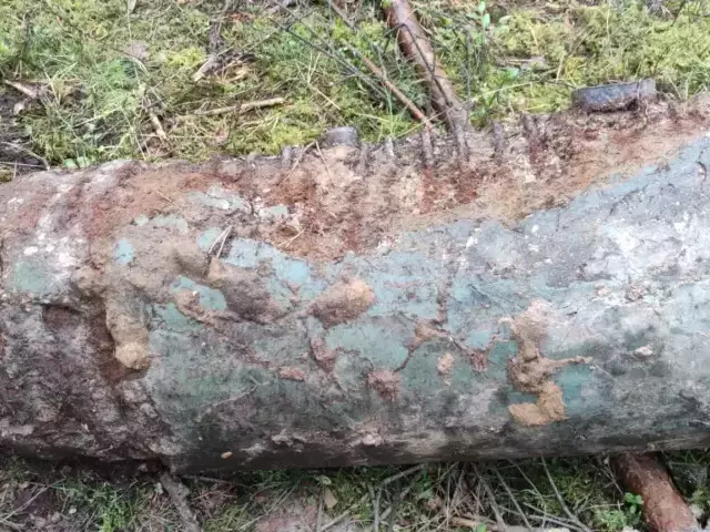 Wojna wróciła z lasu. Pociski w Wielbarku, bomba przy lotnisku w Szymanach