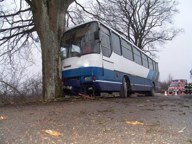 13 dzieci w szpitalu, szkolny autobus uderzył w drzewo