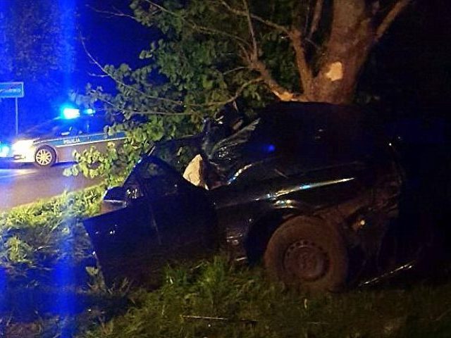 Śmiertelny wypadek pod Wilamowem (zdjęcia)