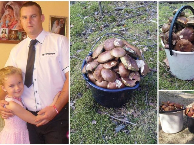 Grzyb w Wielbarku sypie się gęsto...