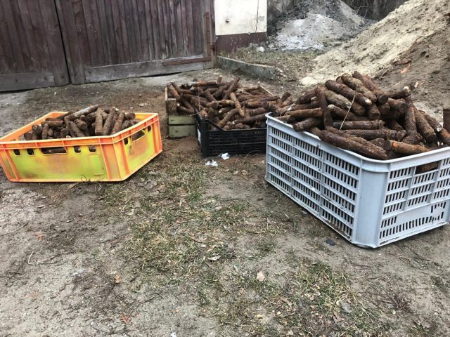 Kopał kanalizację wykopał bomby