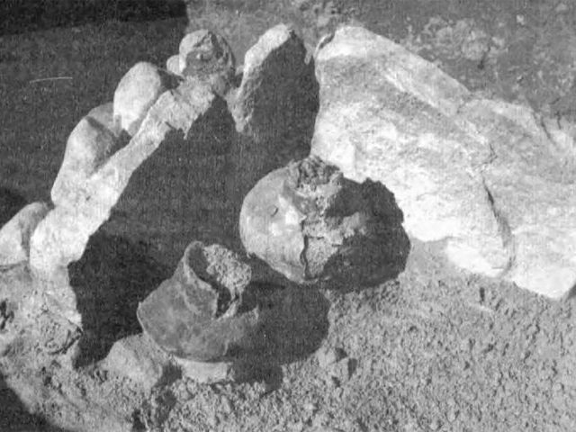 Trelkowo – historie miejscowości naszego powiatu