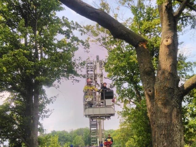 Konar nad Słoneczną w Pasymiu