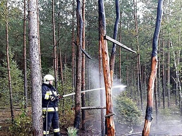 Podpalili myśliwską ambonę