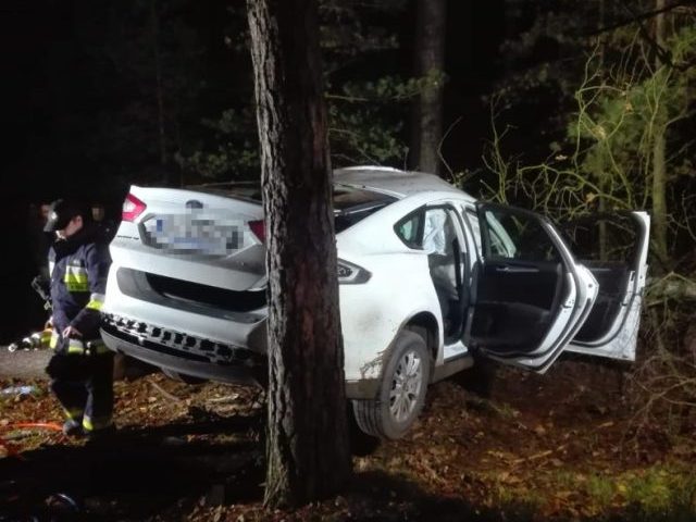 Prędkość zatrzymała auto na drzewach (zdjęcia)