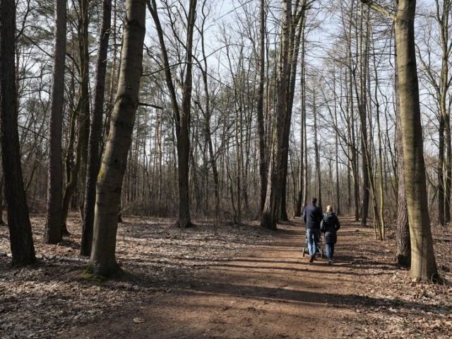Do 11 kwietnia zakaz wstępu do lasów i parków narodowych