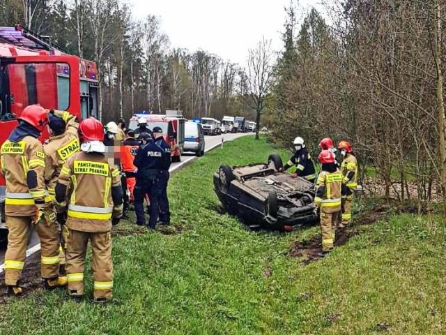 Lis sprawcą kolizji opla astry (zdjęcia)