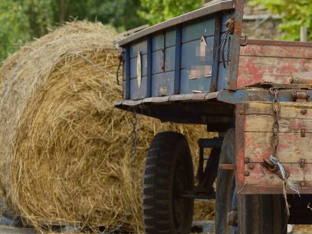 Balot siana zabił 69-letniego mężczyznę
