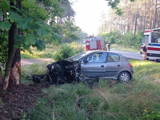 Peugeot uderzył w drzewo, ranna kobieta