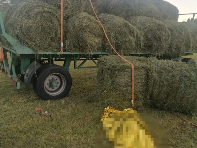 Rolnik zginął przygnieciony belą siana