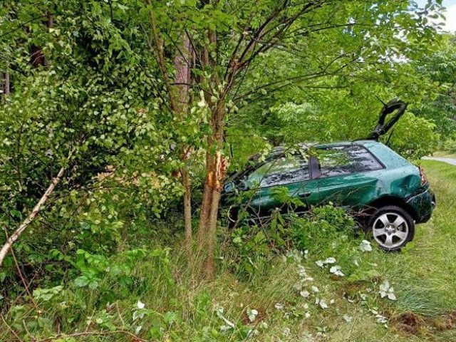 Audi dachowało w okolicach Tylkowa (zdjęcia)