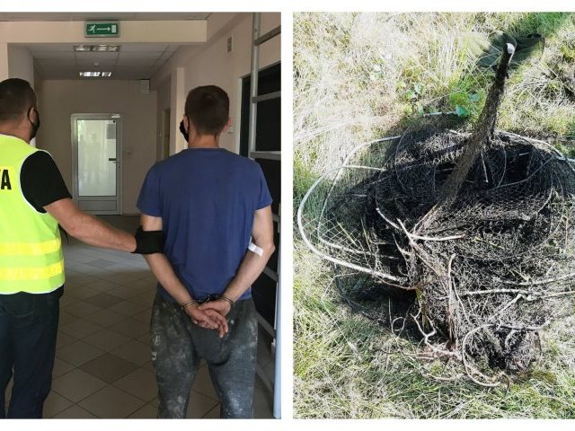 Kłusownik na „wspomaganiu”