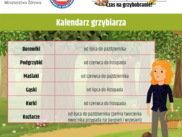 Czas na grzybobranie! GIS radzi i przypomina o bezpieczeństwie
