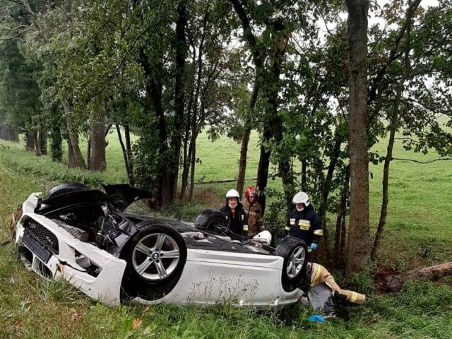 BMW w rowie, winien... konar drzewa