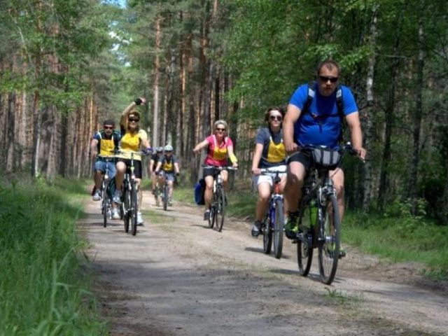 Szlaki rowerowe w Nadleśnictwie Wielbark