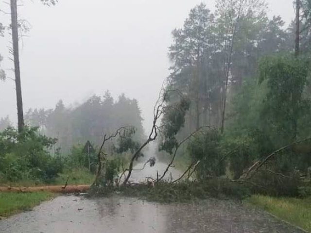 Powalone drzewa, zalane drogi i posesje