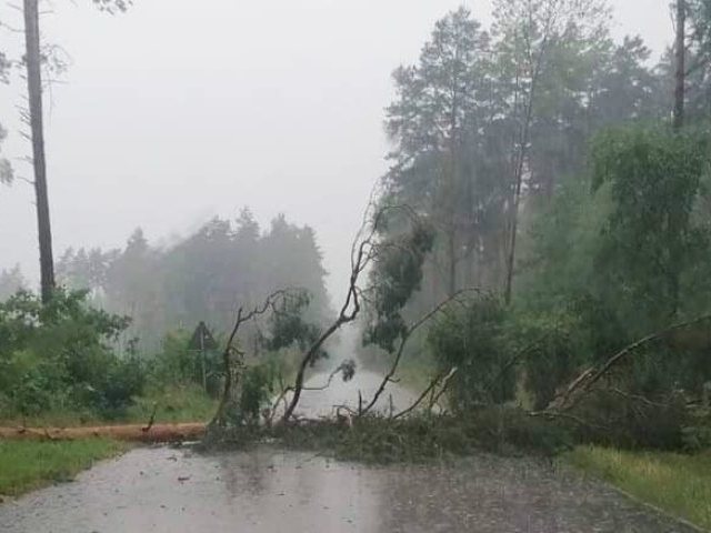 Powalone drzewa, zalane drogi i posesje