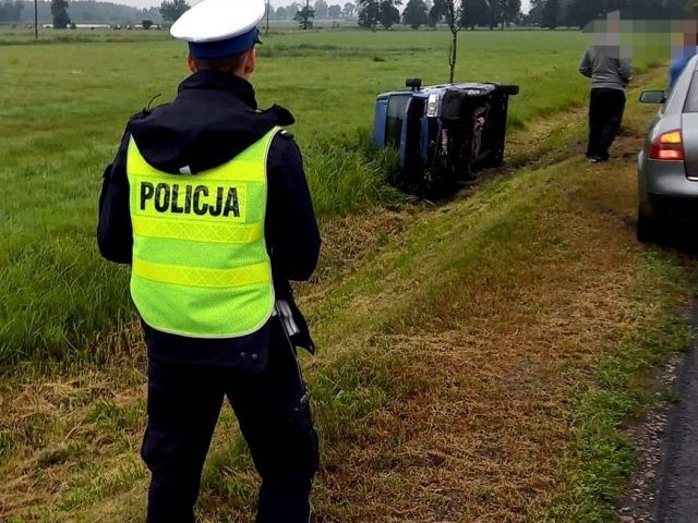 Uwaga na zwierzynę leśną, kolizja pod Wilamowem