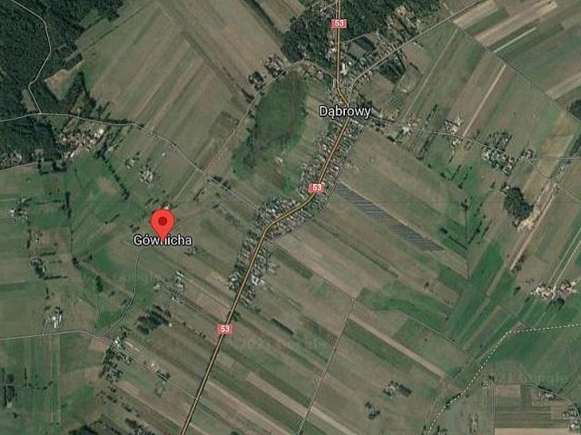 Dąbrowy z drogą do Gównichy