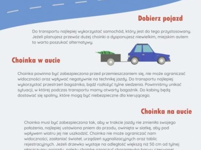Policyjny poradnik, jak przewozić choinkę