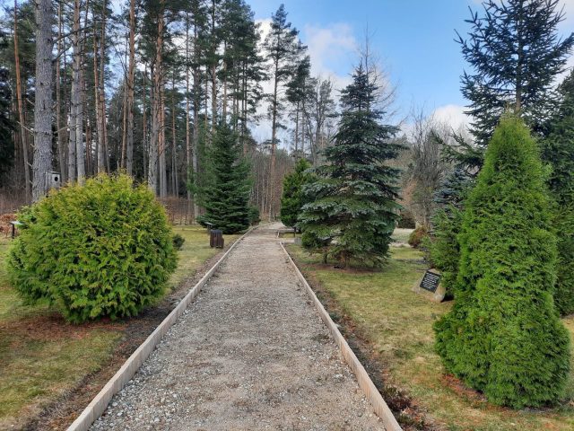 Nadleśnictwo Szczytno zaprasza na spacery do lasu (zdjęcia)