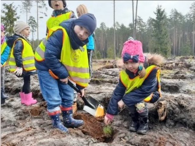 Rekordowe sadzenie lasu z okazji Dnia Ziemi (wideo)