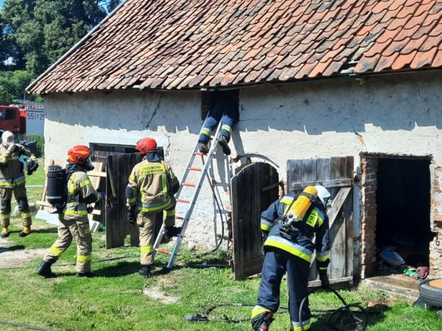 Śmieci lepiej wyrzucać zanim spłoną