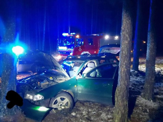 Ucieczkę przed policjantami zakończył na drzewie...  39-latkowi grozi 5 lat więzienia