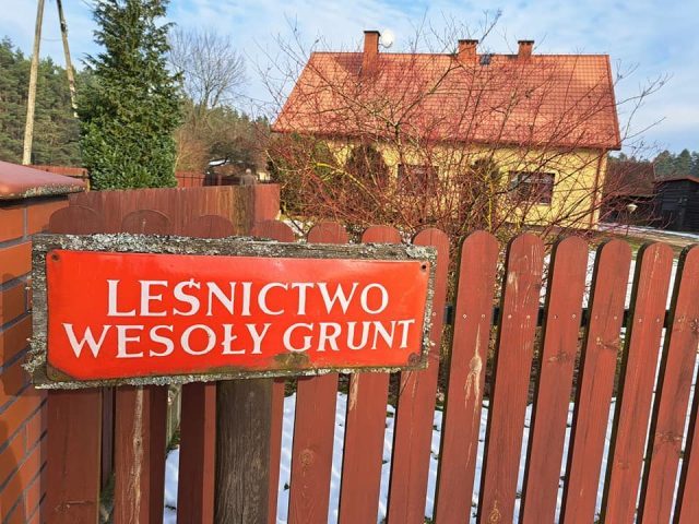 Nadleśnictwo Szczytno zaprasza do zwiedzania leśnictwa Wesoły Grunt (zdjęcia)