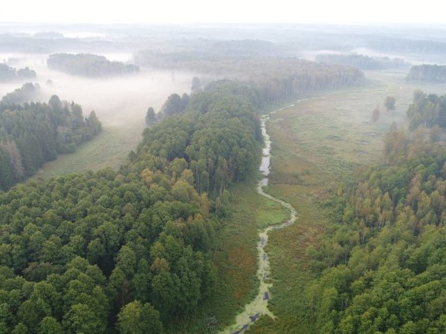 Piękne mamy lasy – Nadleśnictwo Szczytno chwali się przyrodą (zdjęcia)