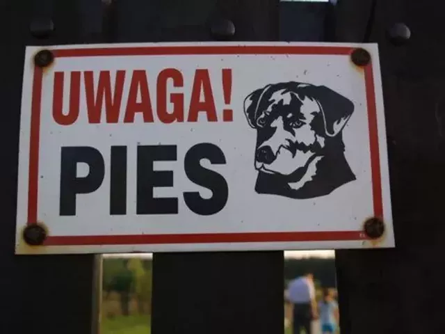 Pies pogryzł 20-letnią kobietę. Właścicielka czworonoga ukarana mandatem przez policjantów