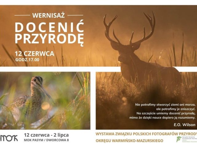 Przyroda oczami mistrzów. Wernisaż fotografii, który zabierze cię w magiczną podróż