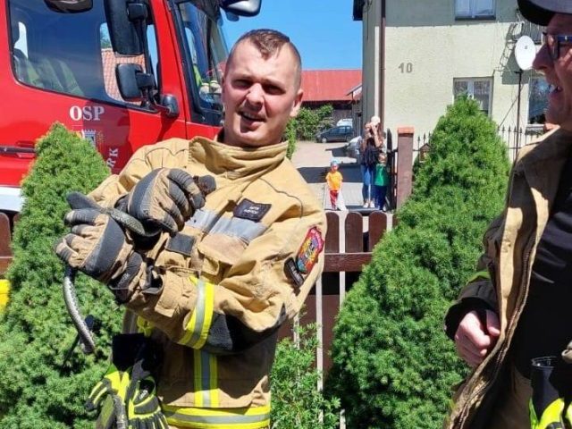 Żmija zygzakowata na tui: niecodzienna akcja strażacka w Wielbarku