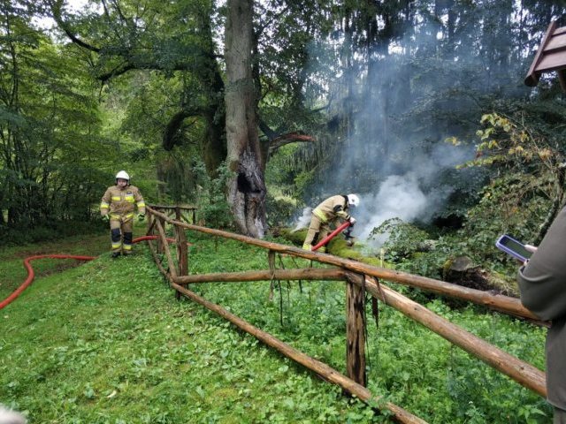 Pomnik przyrody trafiony piorunem. 200-letnia lipa ginie na naszych oczach (zdjęcia)