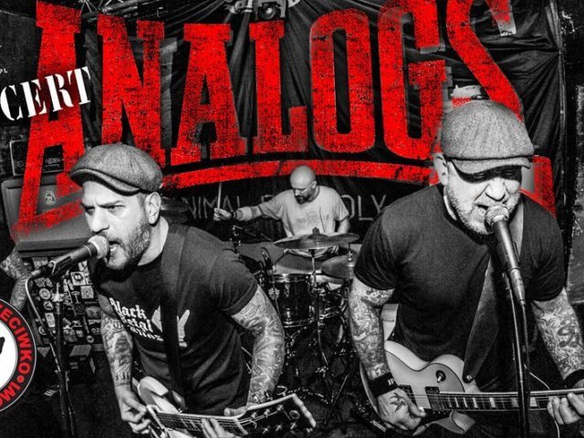 Rockowa eksplozja w Szczytnie. The Analogs na Scenie Klubu Agaton! Koncert już w sobotę